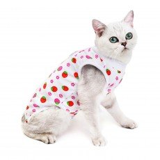 힐링타임 고양이 수술복 딸기 S
