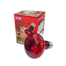 아마존 히팅 스팟 램프 100W(R80100)