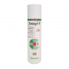 베토퀴놀 애니실 엘라이신 고양이 영양제 100ml