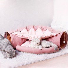 힐링타임 숨숨집 벚꽃