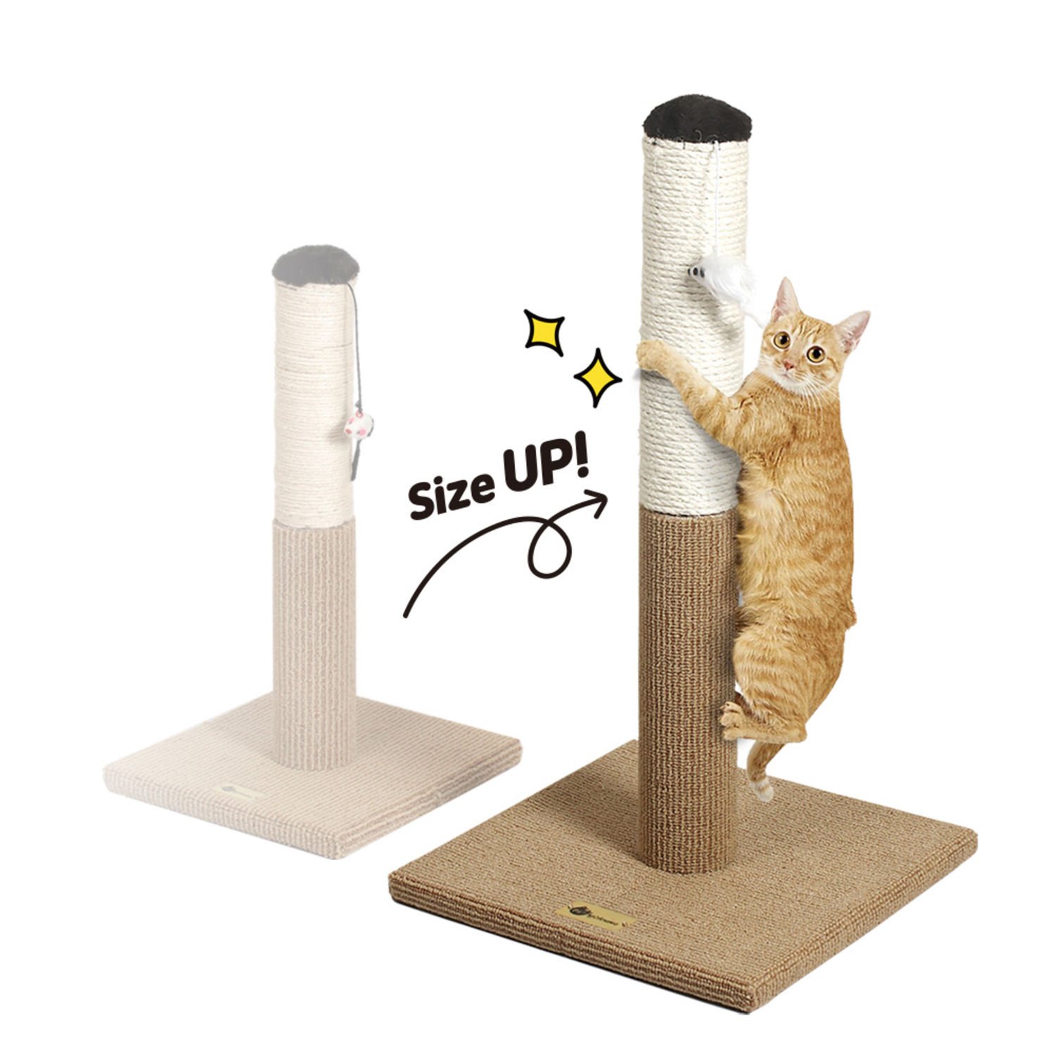 펫모닝 츄러스 스크래쳐 대형