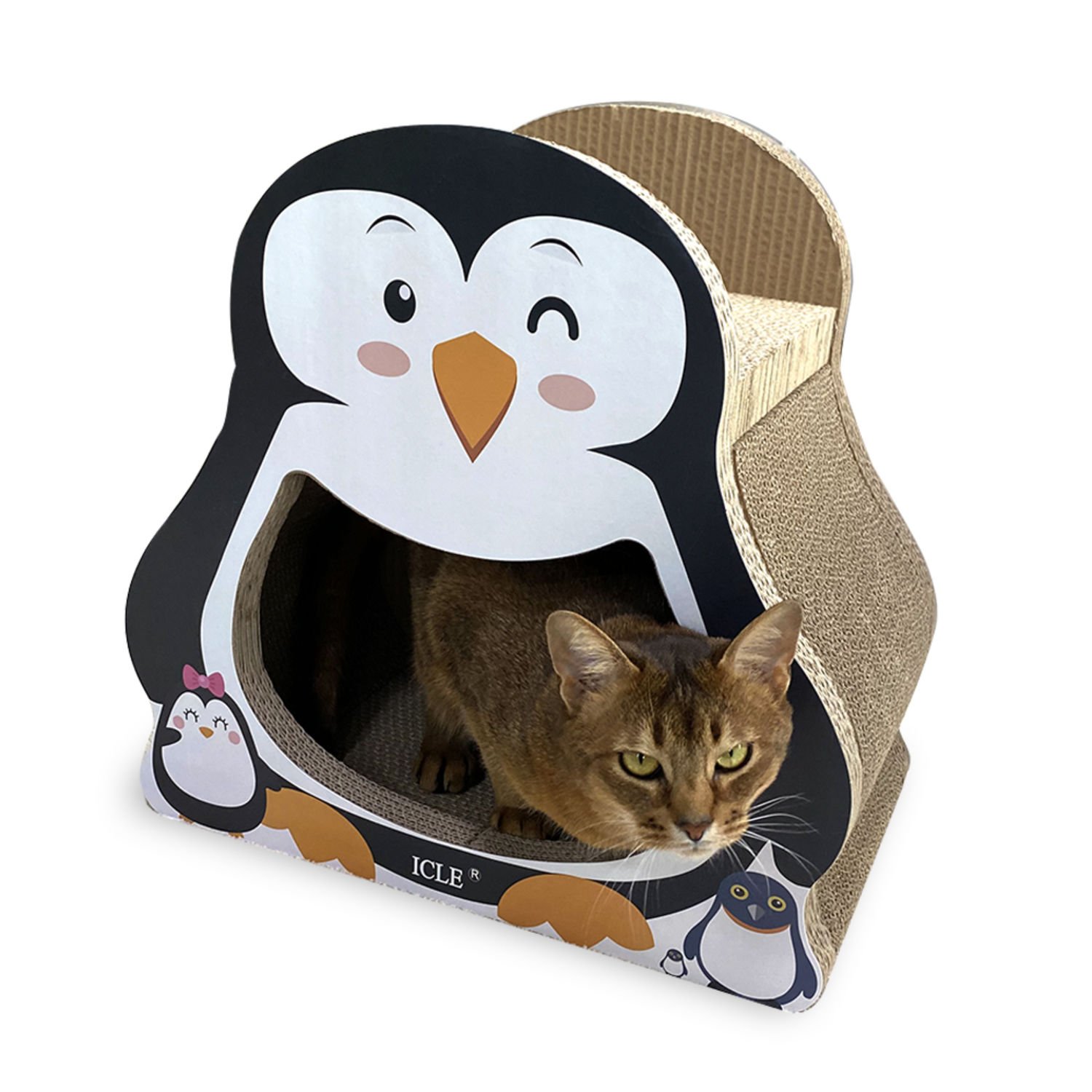 도트캣 스크래쳐 아기펭귄