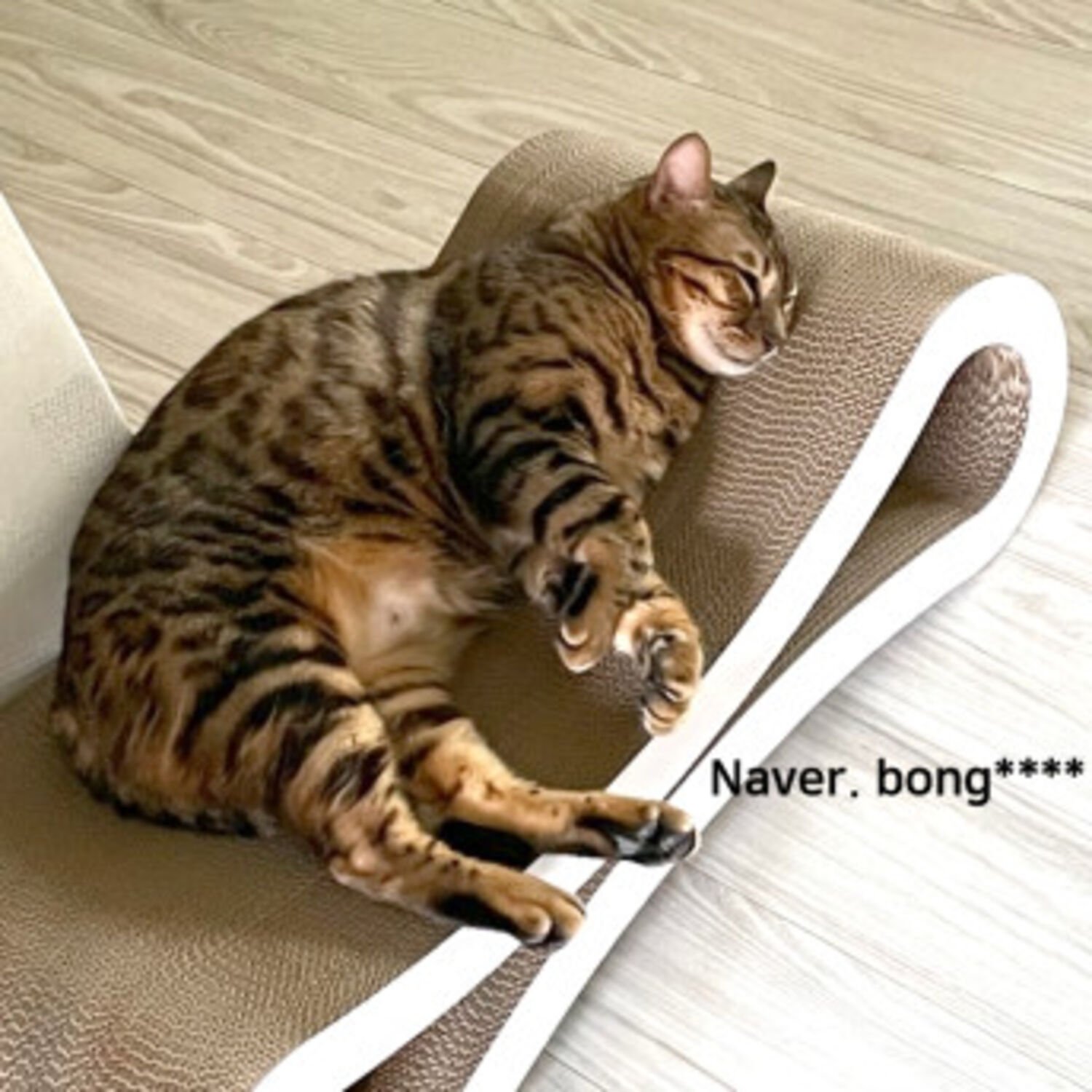 오케이펫코리아 고양이 스크래쳐 탱글이 2개 세트