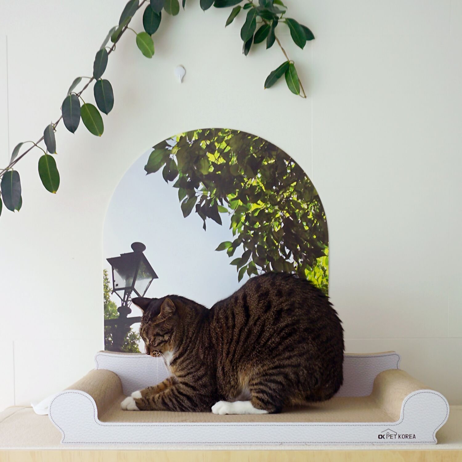 오케이펫코리아 고양이 스크래쳐 700WD 2개 세트
