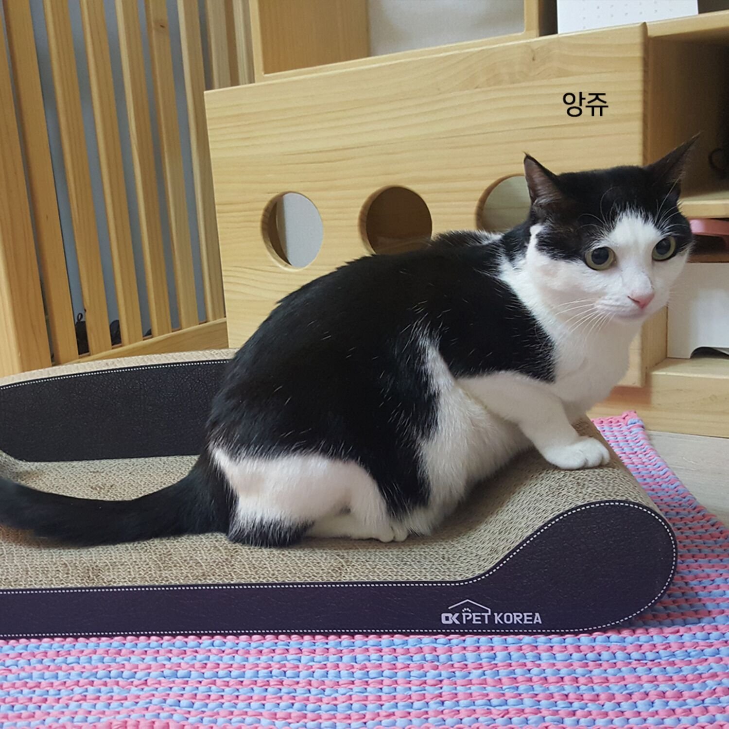 오케이펫코리아 스크래쳐 700R 2개 세트