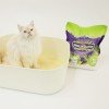 아메리칸 솔루션 베이직 카사바 4.55kg x 3개