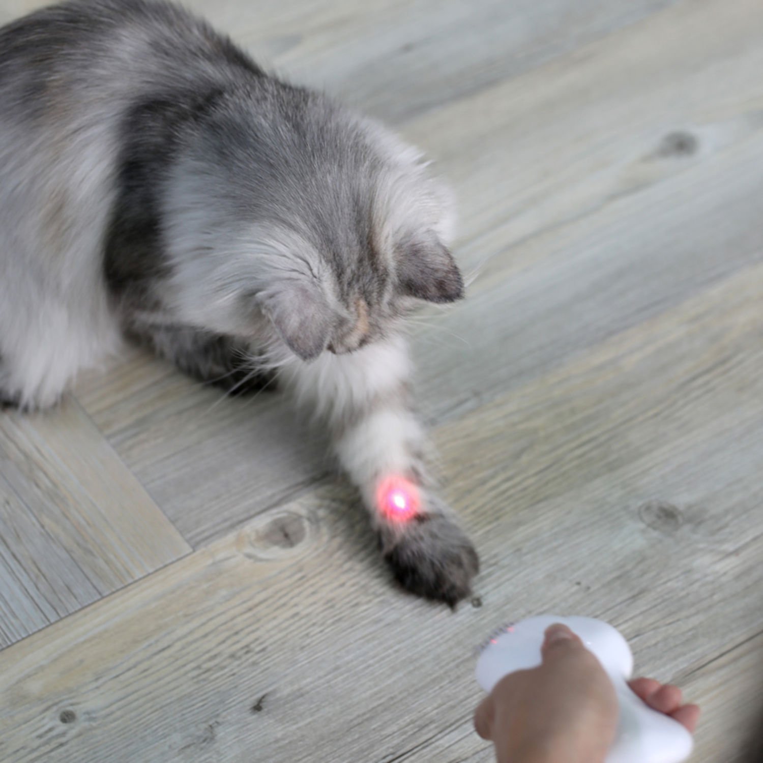 펫케어 레이저 빗 장난감