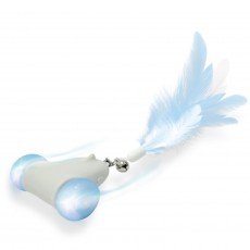 펫모닝 캣츠라이더 레이싱