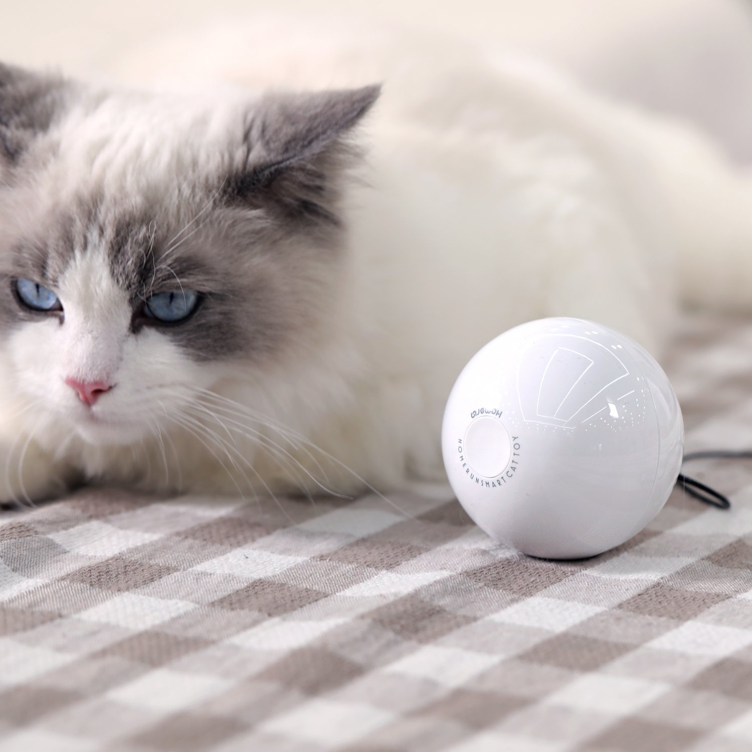 펫케어 스마트 캣 볼 장난감