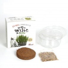 펫모닝 마법의 캣그라스 귀리 재배세트 투명화분