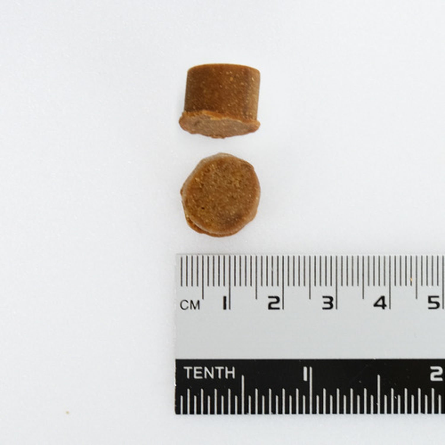 뉴트리벳 프리&프로바이오틱스 츄어블 120정