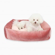 이츠독 코지 벨로아 분리형 베드 인디안레드 M